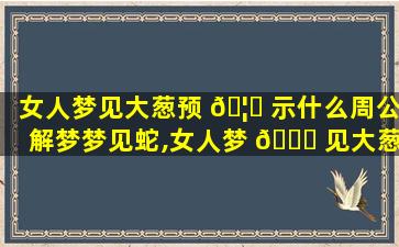 女人梦见大葱预 🦊 示什么周公解梦梦见蛇,女人梦 🐝 见大葱预示什么周公解梦梦见蛇咬自己